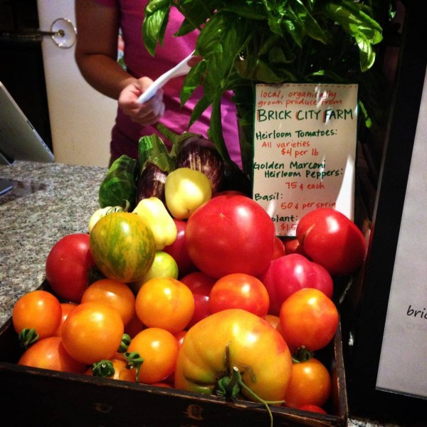 Our Certification Our Certification